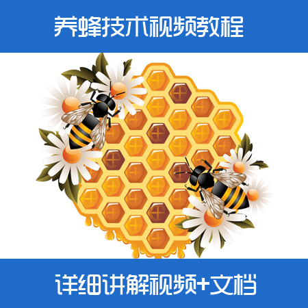 蜜蜂养殖技术视频教程/中蜂养殖/养蜂技术大全视频教材/如何养蜂(tbd)